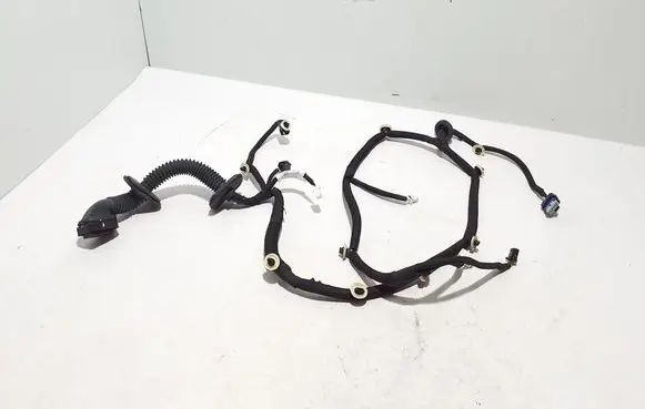 Renault Kangoo III Other wiring loom 241250937R