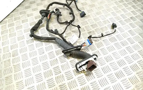 Peugeot 508 II Rear door wiring loom 9822492480
