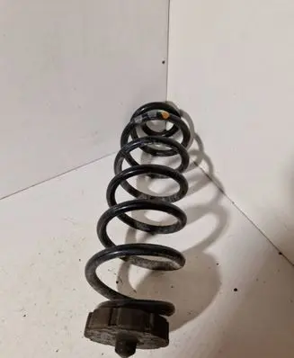 Rear coil spring