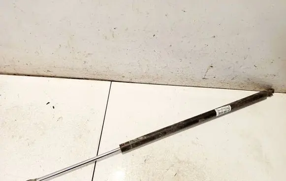 Tailgate/trunk strut/damper