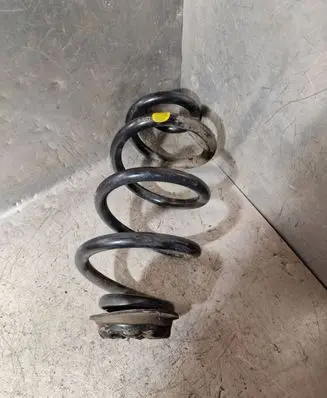 Rear coil spring