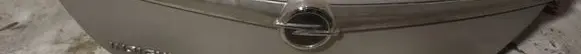 Trunk door license plate light bar