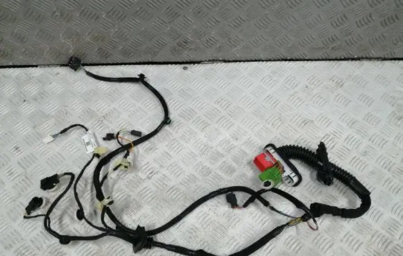Citroen e-C3 Front door wiring loom 9863300080 FETE1309 22255