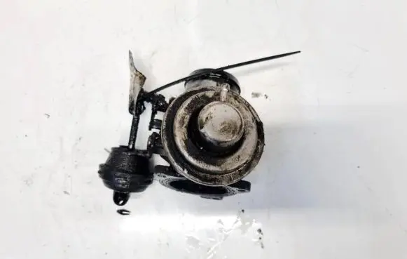 Seat Alhambra (Mk1) EGR valve 038131501g