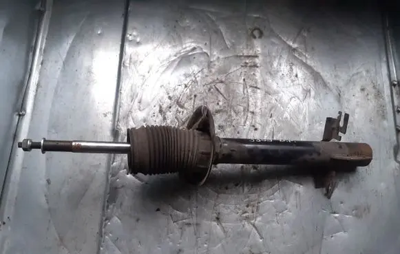 Fiat Ducato Front shock absorber/damper 20335003