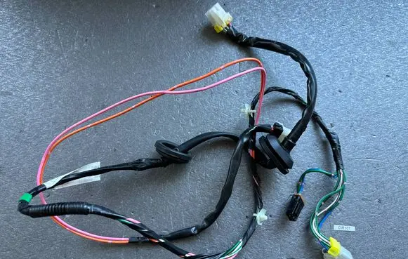 Rear door wiring loom