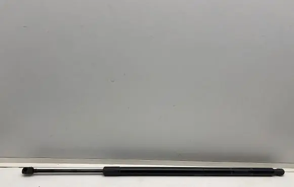 Tailgate strut