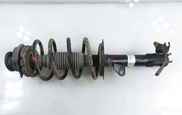 Fiat Panda II Front shock absorber with coil spring 22196934