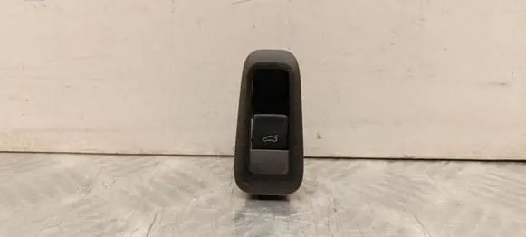 Skoda Enyaq iV Tailgate opening switch 5LA867425