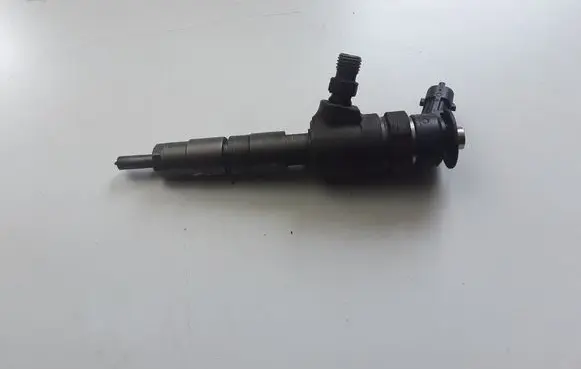 Ford Transit - Tourneo Connect Fuel injector 0445110489