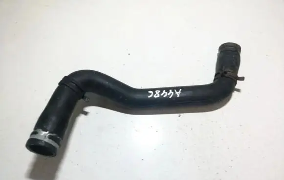 Renault Scenic I Engine coolant pipe/hose
