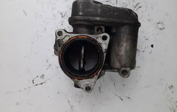 Dodge Journey Throttle valve 03G128063L