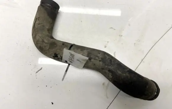 Nissan Almera Tino Engine coolant pipe/hose