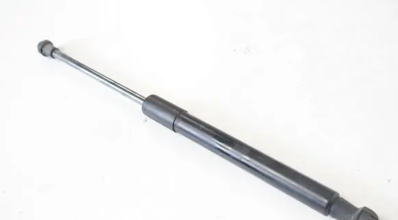 Tailgate/trunk strut/damper