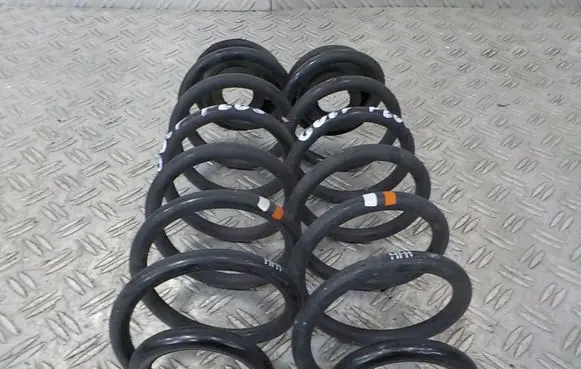 Volkswagen Golf Plus Rear coil spring