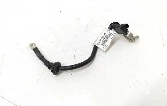 Porsche Cayenne (92A) Negative earth cable (battery) 7P0915181A 519395214