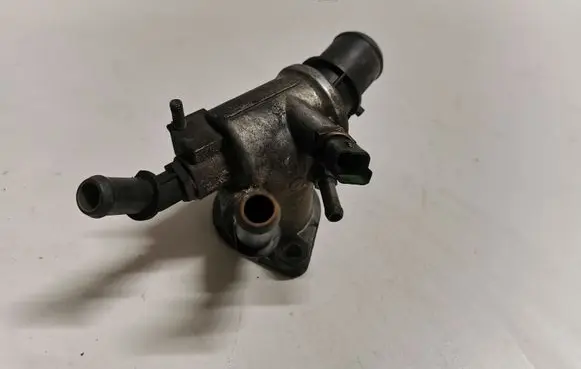 Thermostat/thermostat housing