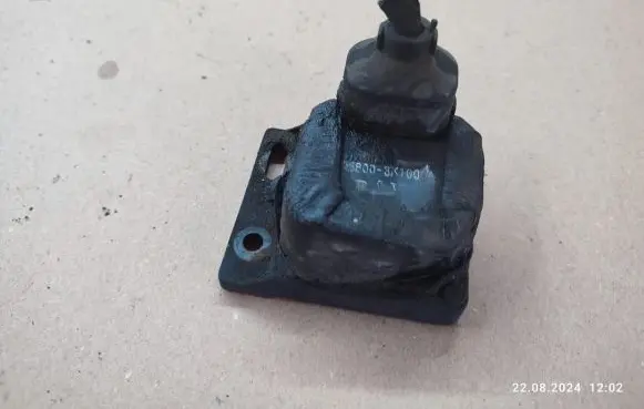 Hyundai Sonata Other control units/modules 058003K100