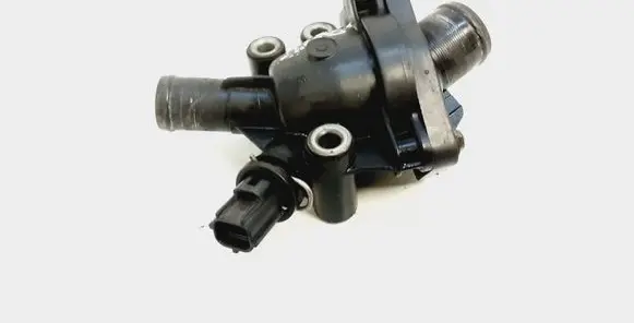 Thermostat/thermostat housing