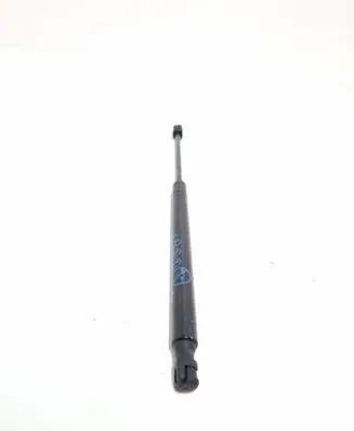 Ford Mustang Mach-E Front bonnet/hood damper/strut LJ8BR16C826AB