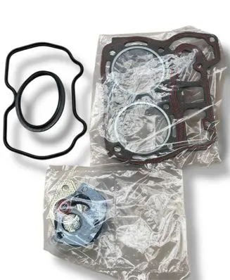 Fiat 500 Cinquecento Front door rubber seal Q163 71737130
