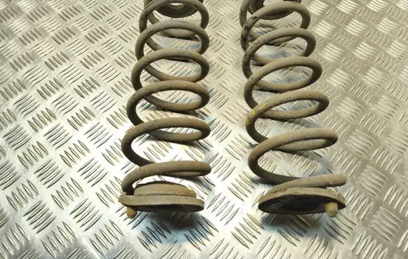 Volkswagen PASSAT B7 Rear coil spring
