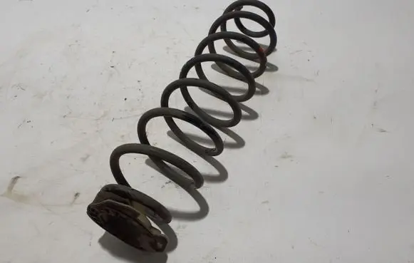 Citroen C4 III e-C4 Rear coil spring 9835940880