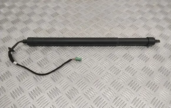 Tailgate strut
