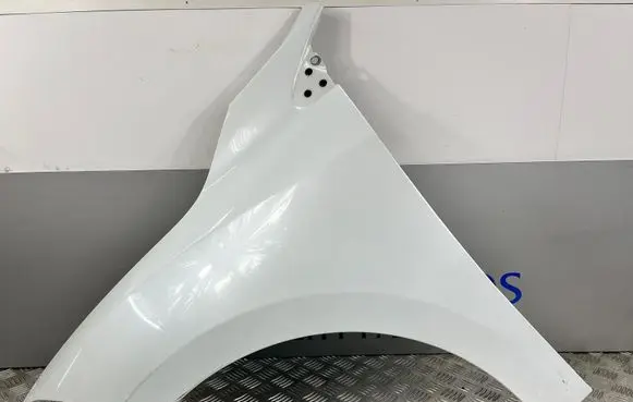 Renault Megane III Fender 