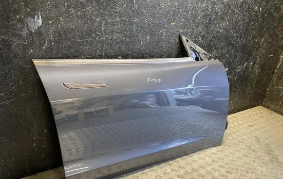 Tesla Model 3 Front door