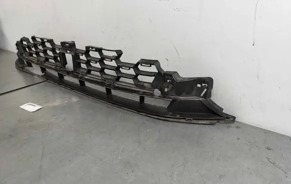 Front bumper lower grill