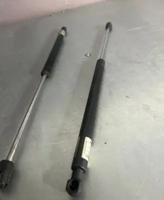 Tailgate/trunk strut/damper