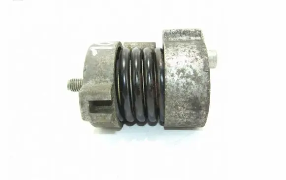 BMW 3 E46 Alternator belt tensioner 11287524267
