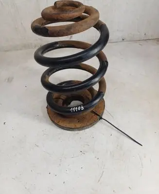 Rear coil spring