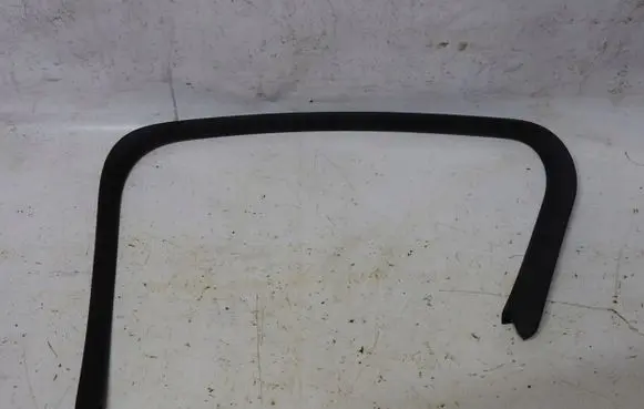Citroen DS4 Rubber seal front door (on door) 20EA10