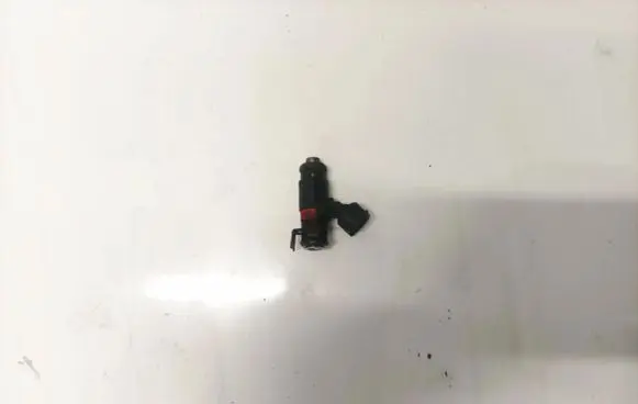 Skoda Roomster (5J) Fuel injector 7333n05881