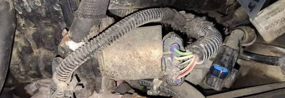 EGR valve