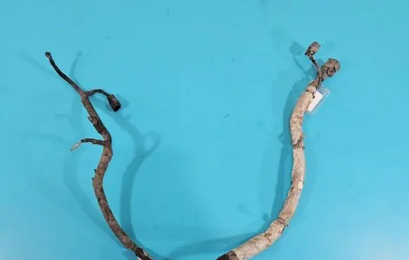 Ford Focus Gearbox/transmission wiring loom F1ET-3C221-ACF IMPRK1419991