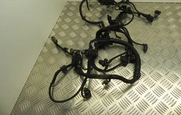 Engine installation wiring loom