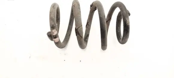 Rear coil spring