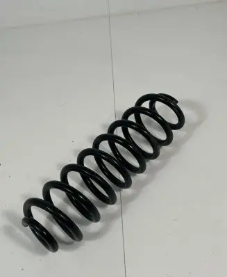 Toyota RAV 4 (XA50) Rear coil spring