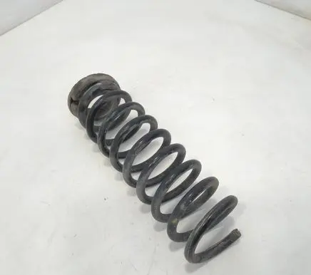 Rear coil spring