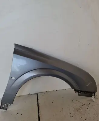 Opel Signum Fender