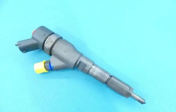 Citroen Xsara Picasso Fuel injector 0445110076 IMPRK1177652