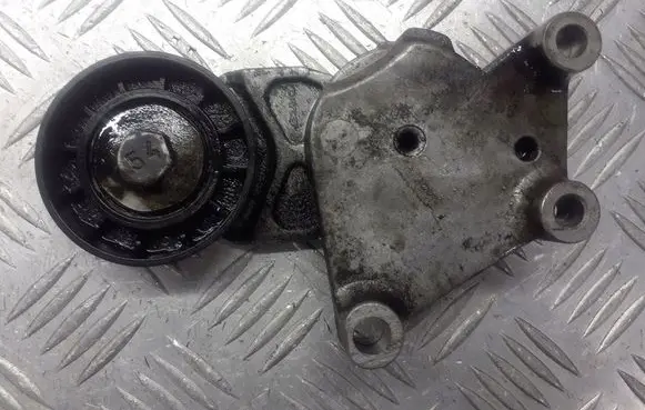 Ford C-MAX I Alternator belt tensioner pulley TF049