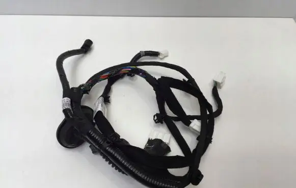 Rear door wiring loom