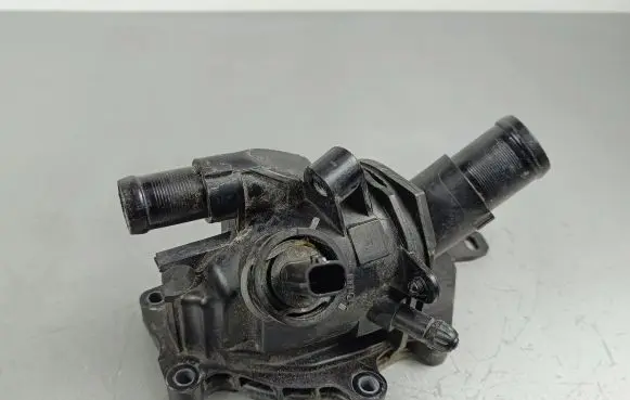 Thermostat/thermostat housing