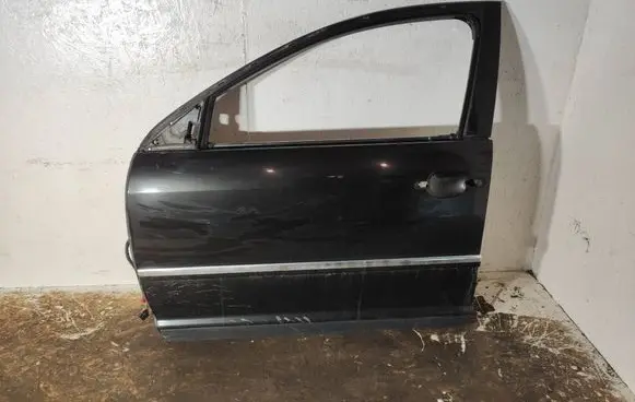 Volkswagen Phaeton Front door 3D0864944