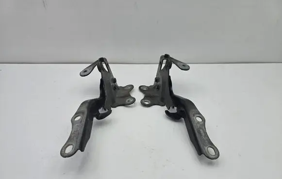 Lexus RX 450H Engine bonnet/hood hinges 