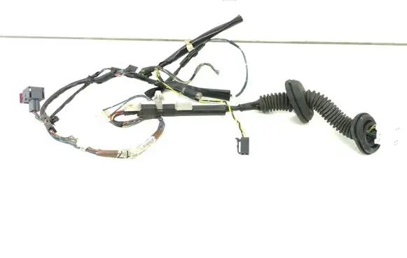 Rear door wiring loom